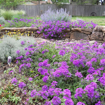 River Rock Garden