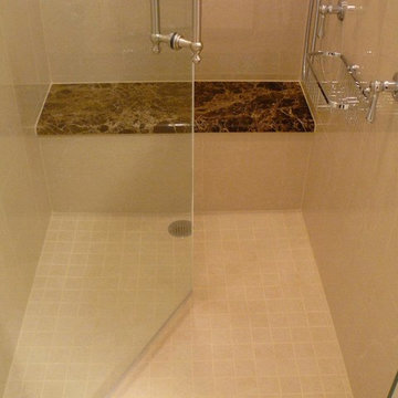 Park Ridge/ apartment remodeling