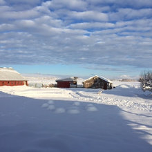 Milk & Honey Homestead!!!!!