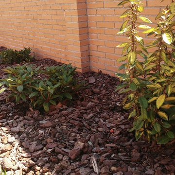 EL JARDÍN 6 MESES DESPUÉS