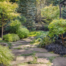 Woodland Landscape