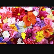 Rania Hussein's photo