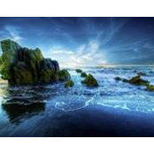 Remal Zahid's photo