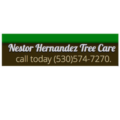Nestor Hernandez Tree Care