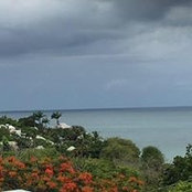 Claudine Bailey's photo