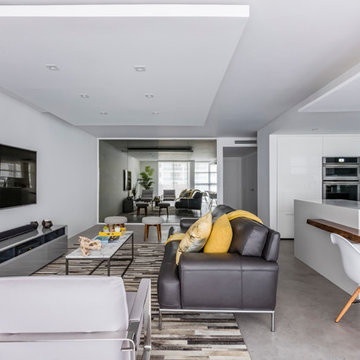 Modern concrete looks - living room floors