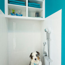 dog baths