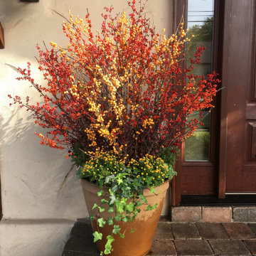Fall Decor