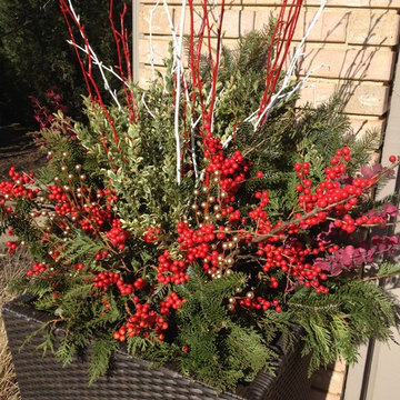 Containers for the Winter Season