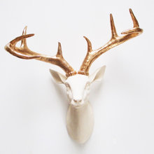 wall sculptures