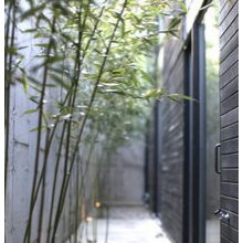 Arch Concrete