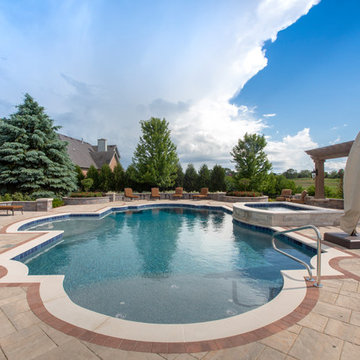 Elgin, IL Roman End Pool with Freeform Hot Tub