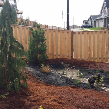 Camas Challenge/Just Planted...note tiny groundcover
