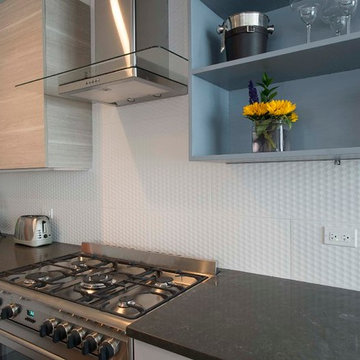 Chicago House Remodel: From Traditional to Contemporary