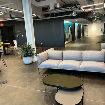 NPS 20,000 sqft Concrete Floor Restoration