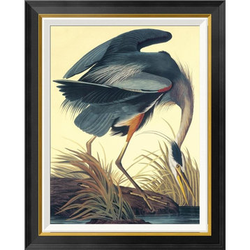 "Great Blue Heron" Framed Canvas Giclee by John James Audubon, 24"x30"
