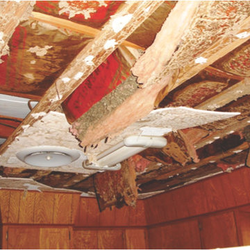 Termite Protection