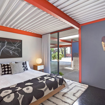 Eichler X-100 For Sale