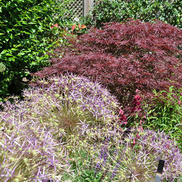 Jardin en Relief