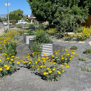 Midvale Xeriscape