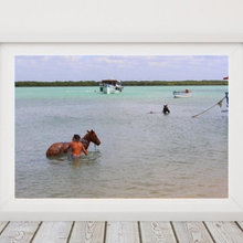 Boy bathing a horse in river, Galinhos - RN, Brazil. Downloadable Insta