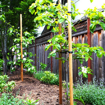 Backyard Patio Refresh