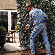 Landscape Ideas