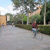 Mag Lokic's photo