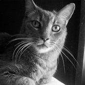 Crystal Dawn's photo