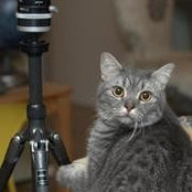 Sylvia Hwang's photo