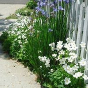 Janet Laffin's photo