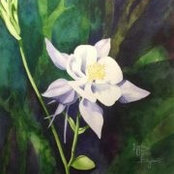Lynne Bryant's photo