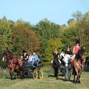 Foto von Muriel Seguy