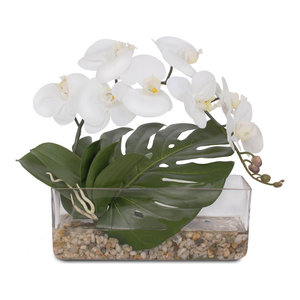 Waterlook White Orchids In Glass Spotted Leopard Vase Tropical Artificial Flower Arrangements By Distinctive Designs