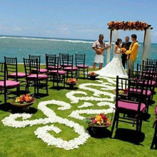 Wedding Decorations