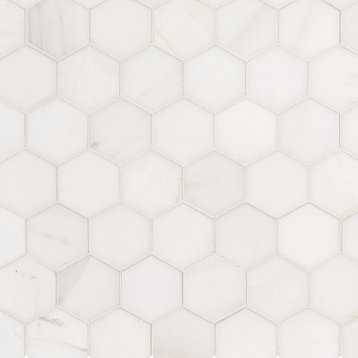 Bianco Dolomite 12X12 Hexagon Polished Mosaic, 10 Sheets