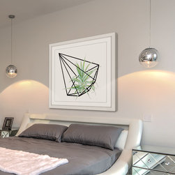 Air Plant 2 - Products