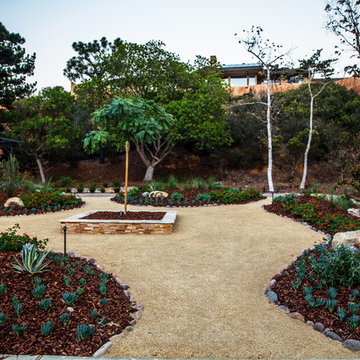Meander Through The Wildlife Garden