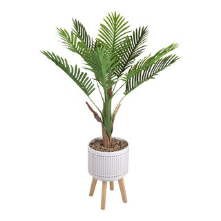 Areca Palm 4 Foot Planter on Wood Stand - Contemporary