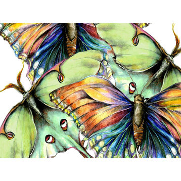 Pastel Butterfly #2 Outdoor Art