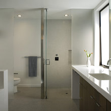 bath toilet frosted glass