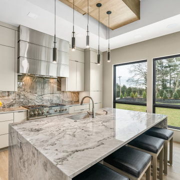 Vibranium Quartzite Kitchen