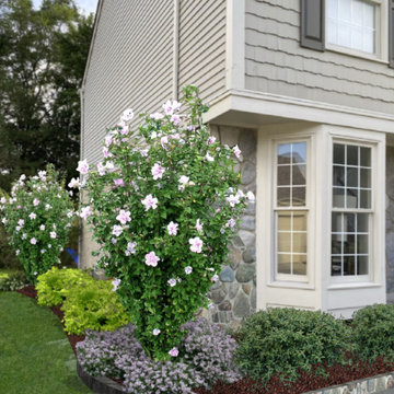 Foundation Plantings