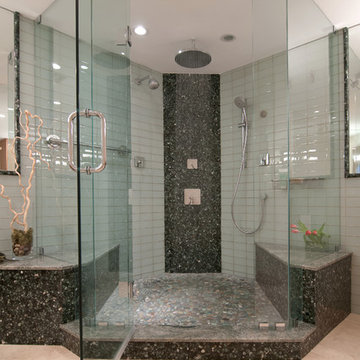 Contemporary Bathroom Remodel (Miami, FL)