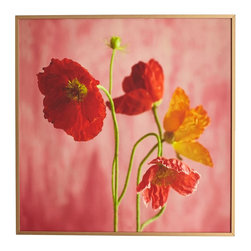 SCARLET POPPY WALL ART- NEW - Products