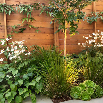 Not Just a Side Yard