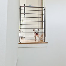 Dogs Enjoying Architecture