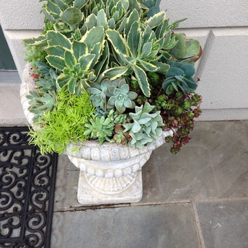 Container Gardens