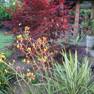 Menlo Park Garden Retreat