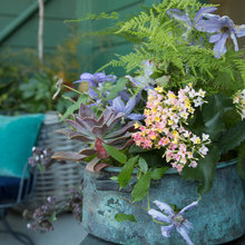 Planting Patio Pots